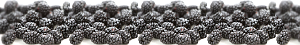 BlackFruits blackberries