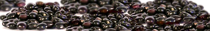 BlackVeggies beans