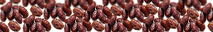 BrownFruits dates