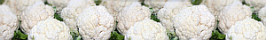 WhiteVeggies cauliflower2