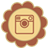 Instagram-icon