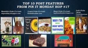 TOP 10 Project Features from Pin It MOnday Hop#17