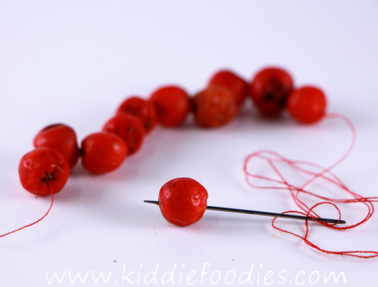 DIY rowanberry necklace - fine motor skills activity for kids step2b