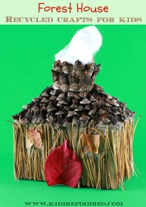 Recycled crafts for kids - forest house - tissue box, pine needles & cones, fall leaves main
