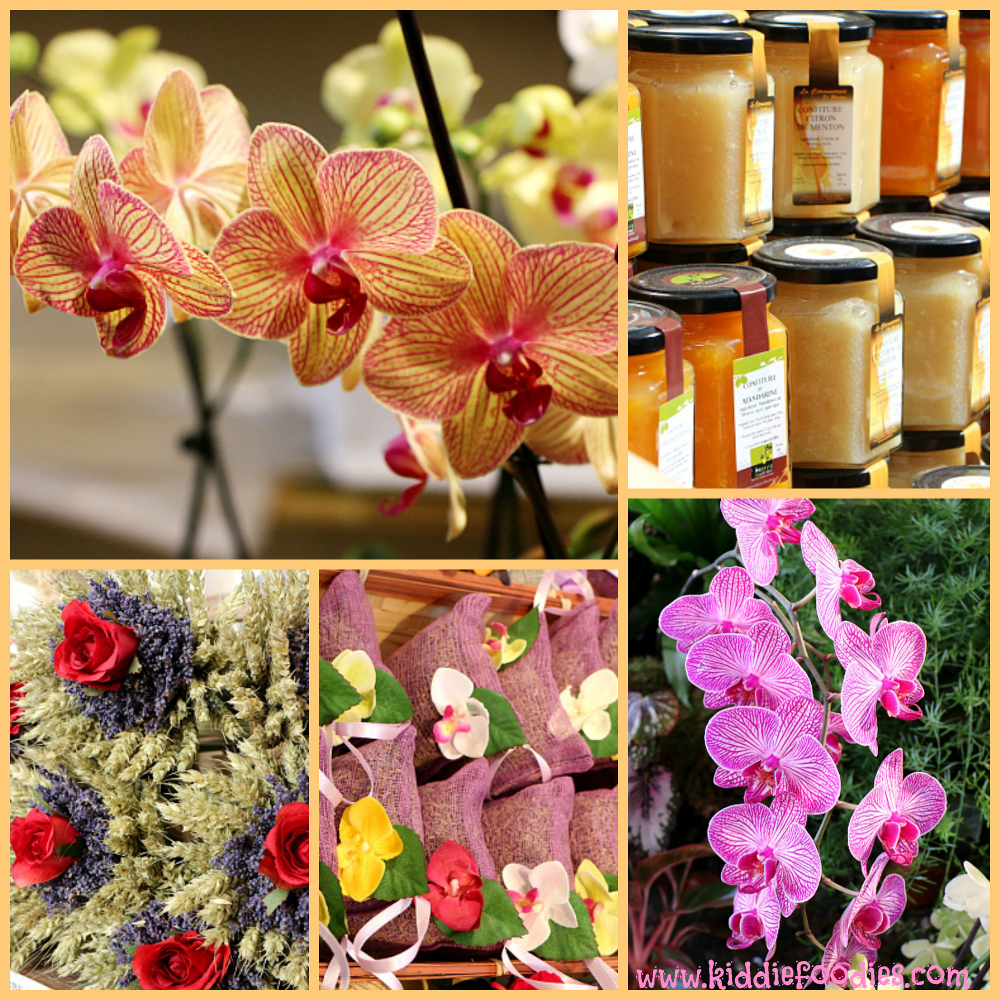 Lemon Festival Menton 2014 - orchid expo and local products