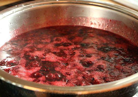 Homemade Blackcurrant Jam recipe step3