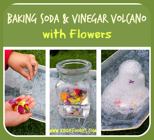 Baking Soda & Vinegar Volcano with Flowers