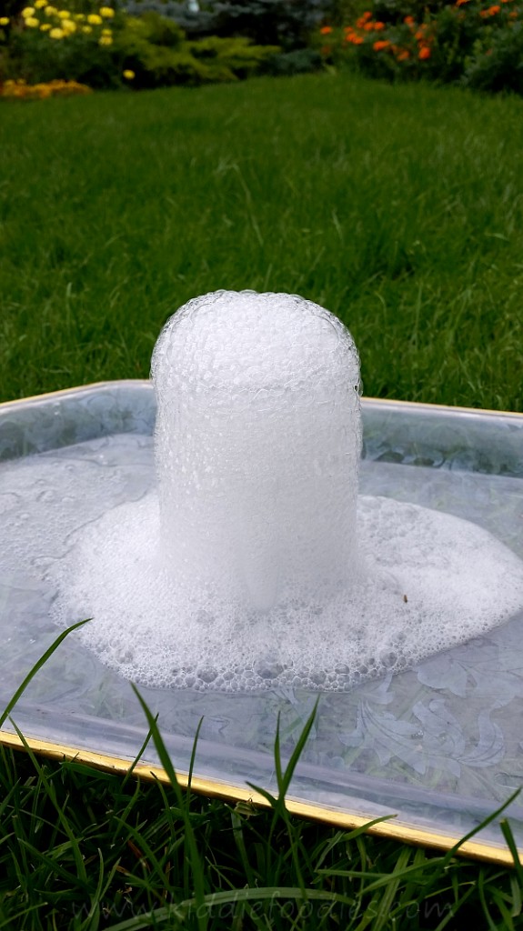 Baking Soda and Vinegar Volcano with Flowers